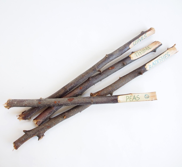 {DIY} Twig Plant Markers
